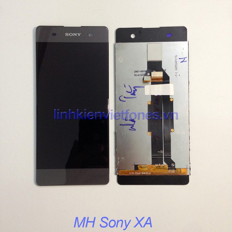 MH Sony XA 1 1