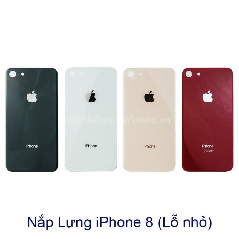 lung ip 8