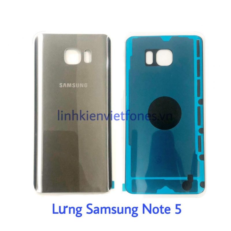 lung note5