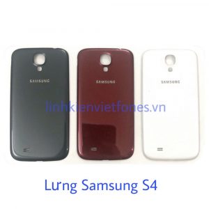 lung s4