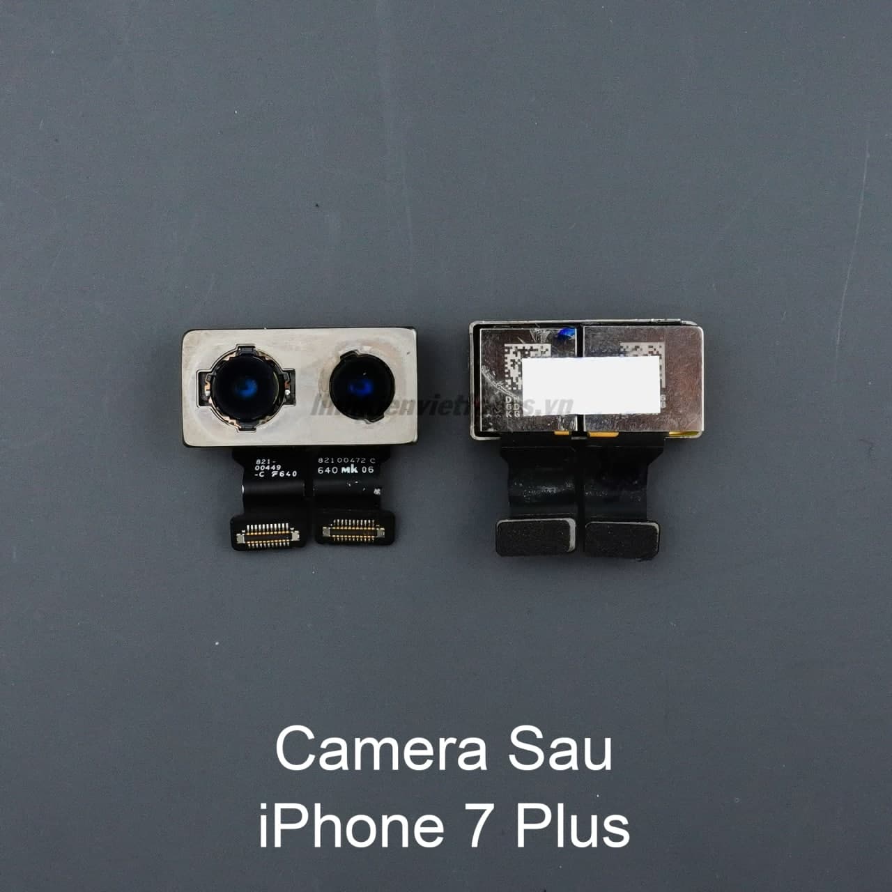 Hướng dẫn chụp ảnh xóa phông trên iPhone 6, 6S cực đơn giản - Công nghệ mới  nhất - Đánh giá - Tư vấn thiết bị di động