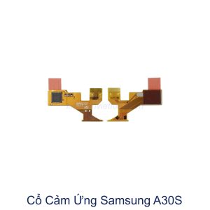 co cam ứng samsung a30s