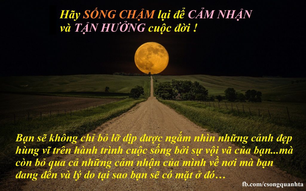song cham