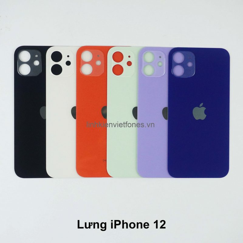 lung ip12 scaled e1691668609365