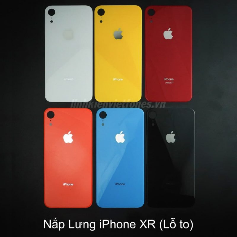 lung ip xr lo to e1691668823122