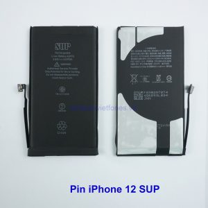 pin ip12 1