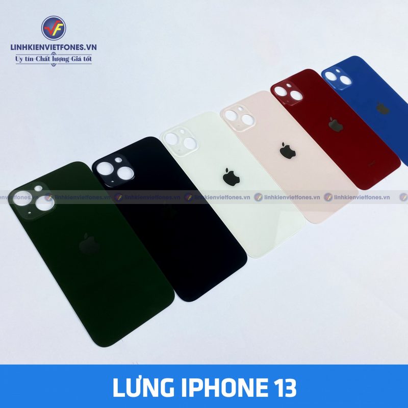 lung ip13 1 scaled e1691668402219