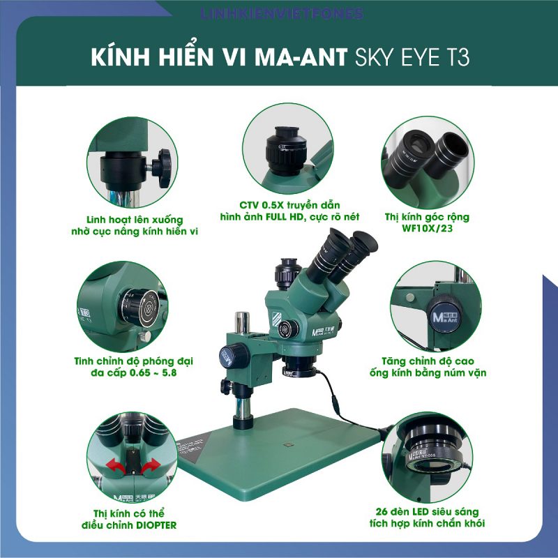 khv maant t3 2024 1