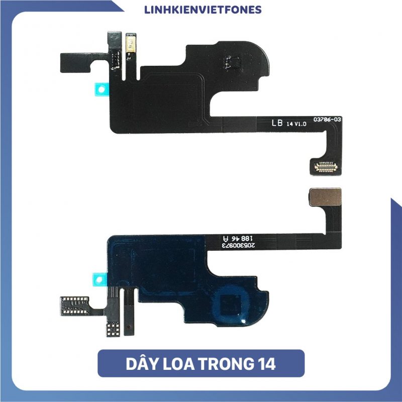 day loa trong 14 1